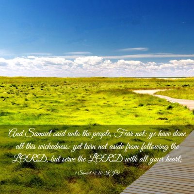 Picture 03 - 1 Samuel 12:20 KJV - And Samuel said unto the people, Fear not: ye - Bible Verse Picture
