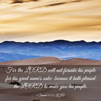 Picture 03 - 1 Samuel 12:22 KJV - For the LORD will not forsake his people for his - Bible Verse Picture