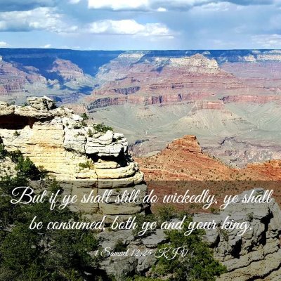 Picture 03 - 1 Samuel 12:25 KJV - But if ye shall still do wickedly, ye shall be - Bible Verse Picture