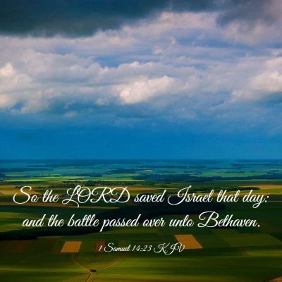 Picture 03 - 1 Samuel 14:23 KJV - So the LORD saved Israel that day: and the battle - Bible Verse Picture