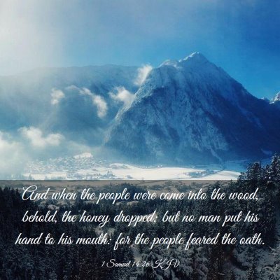 Picture 03 - 1 Samuel 14:26 KJV - And when the people were come into the wood, - Bible Verse Picture