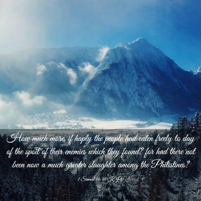 Picture 03 - 1 Samuel 14:30 KJV - How much more, if haply the people had eaten - Bible Verse Picture
