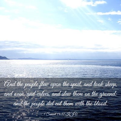 Picture 03 - 1 Samuel 14:32 KJV - And the people flew upon the spoil, and took - Bible Verse Picture