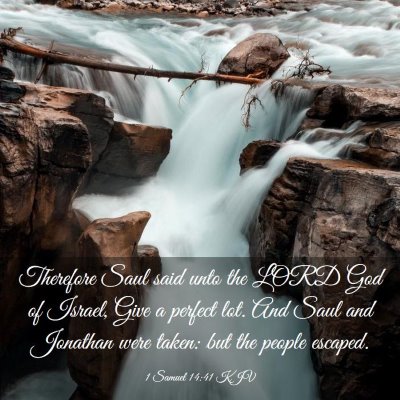Picture 03 - 1 Samuel 14:41 KJV - Therefore Saul said unto the LORD God of Israel, - Bible Verse Picture