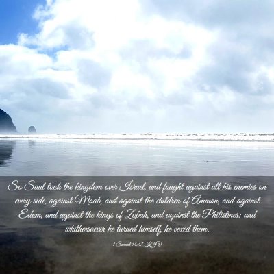 Picture 03 - 1 Samuel 14:47 KJV - So Saul took the kingdom over Israel, and fought - Bible Verse Picture