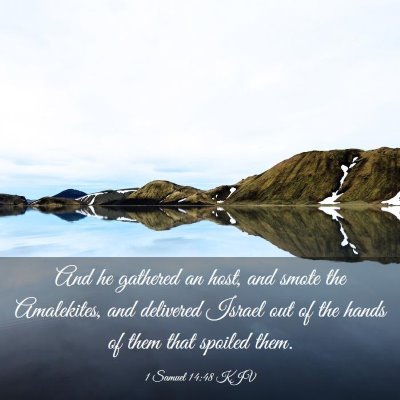Picture 03 - 1 Samuel 14:48 KJV - And he gathered an host, and smote the - Bible Verse Picture