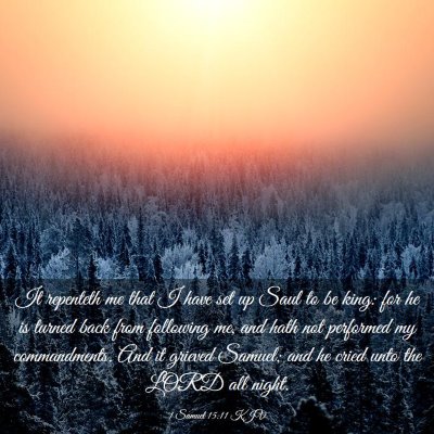 Picture 03 - 1 Samuel 15:11 KJV - It repenteth me that I have set up Saul to be - Bible Verse Picture