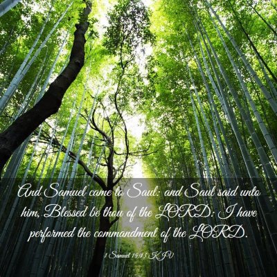 Picture 03 - 1 Samuel 15:13 KJV - And Samuel came to Saul: and Saul said unto him, - Bible Verse Picture