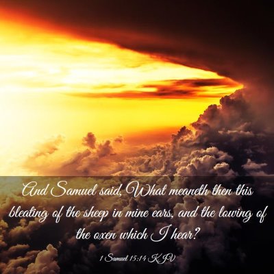 Picture 03 - 1 Samuel 15:14 KJV - And Samuel said, What meaneth then this bleating - Bible Verse Picture