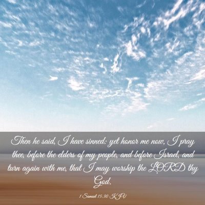 Picture 03 - 1 Samuel 15:30 KJV - Then he said, I have sinned: yet honor me now, I - Bible Verse Picture