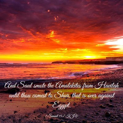Picture 03 - 1 Samuel 15:7 KJV - And Saul smote the Amalekites from Havilah until - Bible Verse Picture