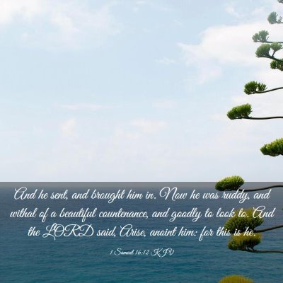 Picture 03 - 1 Samuel 16:12 KJV - And he sent, and brought him in. Now he was - Bible Verse Picture