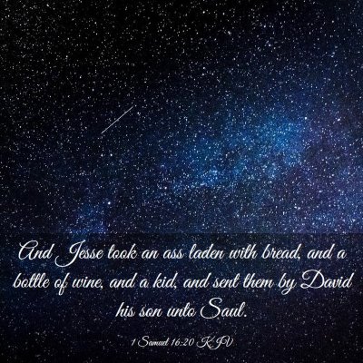 Picture 03 - 1 Samuel 16:20 KJV - And Jesse took an ass laden with bread, and a - Bible Verse Picture