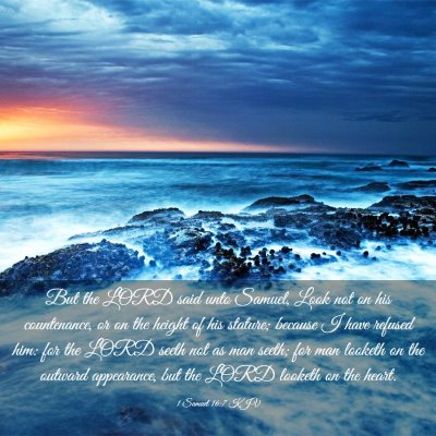 Picture 03 - 1 Samuel 16:7 KJV - But the LORD said unto Samuel, Look not on his - Bible Verse Picture