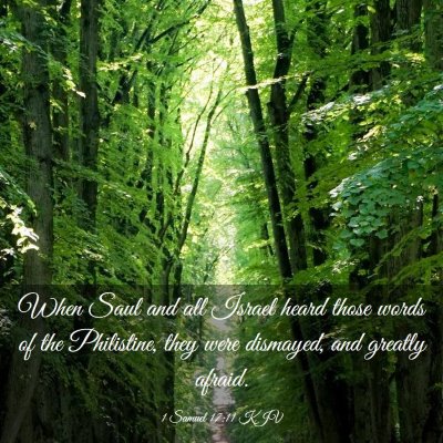 Picture 03 - 1 Samuel 17:11 KJV - When Saul and all Israel heard those words of the - Bible Verse Picture