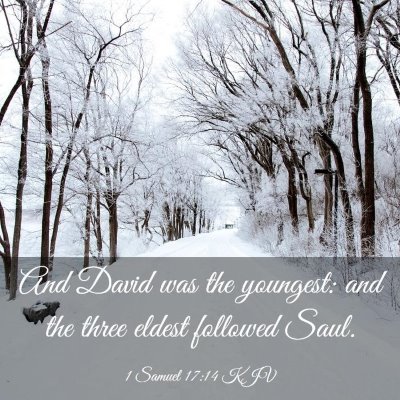 Picture 03 - 1 Samuel 17:14 KJV - And David was the youngest: and the three eldest - Bible Verse Picture