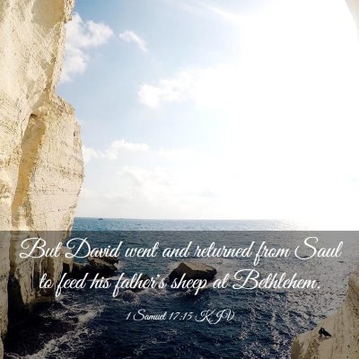 Picture 03 - 1 Samuel 17:15 KJV - But David went and returned from Saul to feed his - Bible Verse Picture
