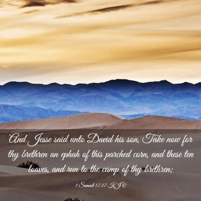 Picture 03 - 1 Samuel 17:17 KJV - And Jesse said unto David his son, Take now for - Bible Verse Picture