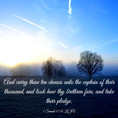 Picture 03 - 1 Samuel 17:18 KJV - And carry these ten cheeses unto the captain of - Bible Verse Picture