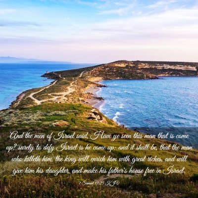 Picture 03 - 1 Samuel 17:25 KJV - And the men of Israel said, Have ye seen this man - Bible Verse Picture
