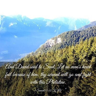 Picture 03 - 1 Samuel 17:32 KJV - And David said to Saul, Let no man's heart fail - Bible Verse Picture
