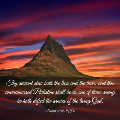 Picture 03 - 1 Samuel 17:36 KJV - Thy servant slew both the lion and the bear: and - Bible Verse Picture