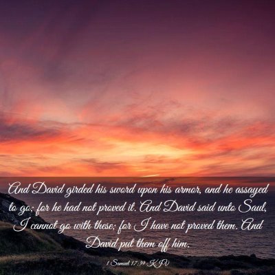 Picture 03 - 1 Samuel 17:39 KJV - And David girded his sword upon his armor, and he - Bible Verse Picture