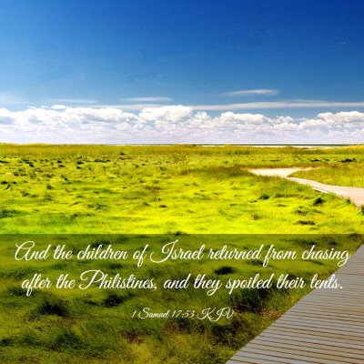 Picture 03 - 1 Samuel 17:53 KJV - And the children of Israel returned from chasing - Bible Verse Picture
