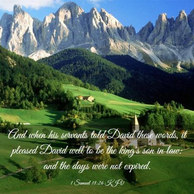Picture 03 - 1 Samuel 18:26 KJV - And when his servants told David these words, it - Bible Verse Picture