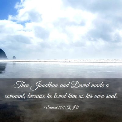 Picture 03 - 1 Samuel 18:3 KJV - Then Jonathan and David made a covenant, because - Bible Verse Picture