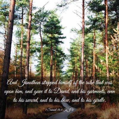 Picture 03 - 1 Samuel 18:4 KJV - And Jonathan stripped himself of the robe that - Bible Verse Picture