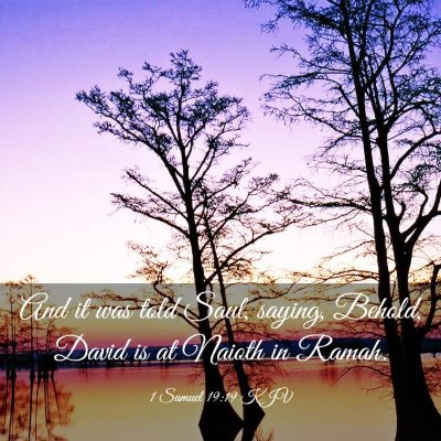 Picture 03 - 1 Samuel 19:19 KJV - And it was told Saul, saying, Behold, David is at - Bible Verse Picture