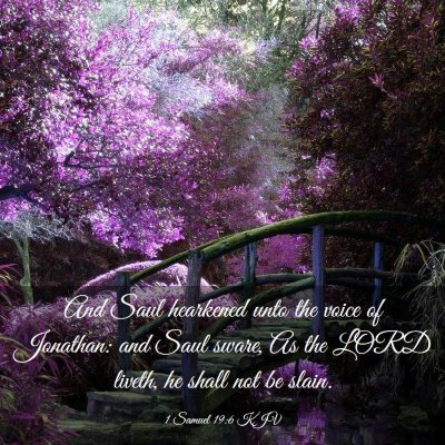 Picture 03 - 1 Samuel 19:6 KJV - And Saul hearkened unto the voice of Jonathan: - Bible Verse Picture