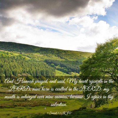 Picture 03 - 1 Samuel 2:1 KJV - And Hannah prayed, and said, My heart rejoiceth - Bible Verse Picture