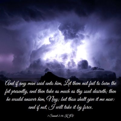 Picture 03 - 1 Samuel 2:16 KJV - And if any man said unto him, Let them not fail - Bible Verse Picture