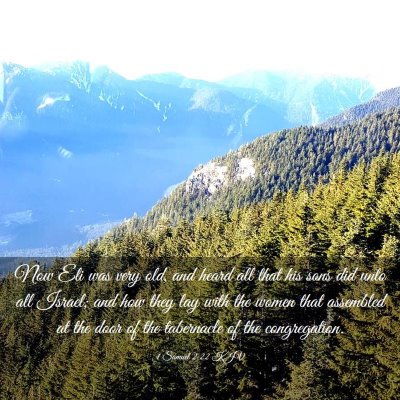 Picture 03 - 1 Samuel 2:22 KJV - Now Eli was very old, and heard all that his sons - Bible Verse Picture