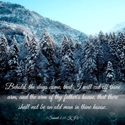 Picture 03 - 1 Samuel 2:31 KJV - Behold, the days come, that I will cut off thine - Bible Verse Picture