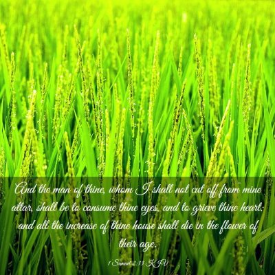 Picture 03 - 1 Samuel 2:33 KJV - And the man of thine, whom I shall not cut off - Bible Verse Picture