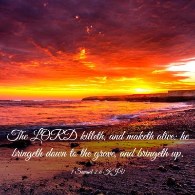 Picture 03 - 1 Samuel 2:6 KJV - The LORD killeth, and maketh alive: he bringeth - Bible Verse Picture
