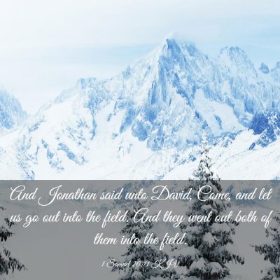 Picture 03 - 1 Samuel 20:11 KJV - And Jonathan said unto David, Come, and let us go - Bible Verse Picture