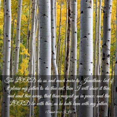Picture 03 - 1 Samuel 20:13 KJV - The LORD do so and much more to Jonathan: but if - Bible Verse Picture