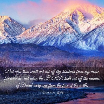 Picture 03 - 1 Samuel 20:15 KJV - But also thou shalt not cut off thy kindness from - Bible Verse Picture