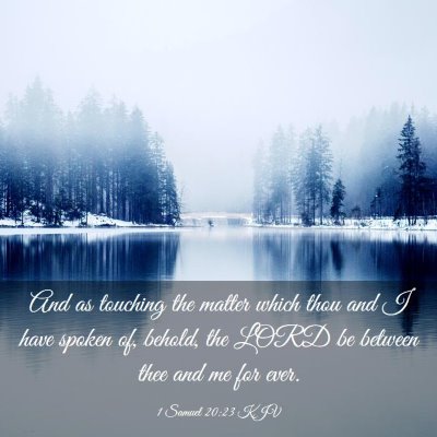 Picture 03 - 1 Samuel 20:23 KJV - And as touching the matter which thou and I have - Bible Verse Picture