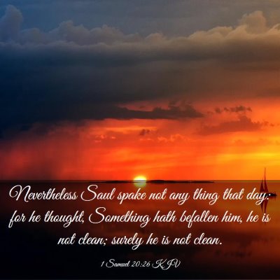 Picture 03 - 1 Samuel 20:26 KJV - Nevertheless Saul spake not any thing that day: - Bible Verse Picture