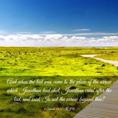 Picture 03 - 1 Samuel 20:37 KJV - And when the lad was come to the place of the - Bible Verse Picture