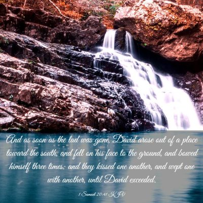 Picture 03 - 1 Samuel 20:41 KJV - And as soon as the lad was gone, David arose out - Bible Verse Picture