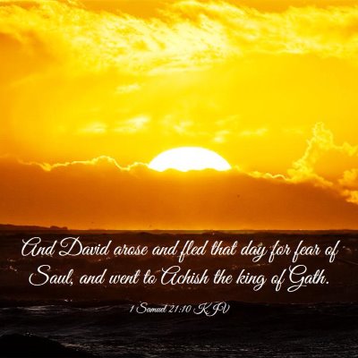 Picture 03 - 1 Samuel 21:10 KJV - And David arose and fled that day for fear of - Bible Verse Picture