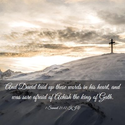 Picture 03 - 1 Samuel 21:12 KJV - And David laid up these words in his heart, and - Bible Verse Picture