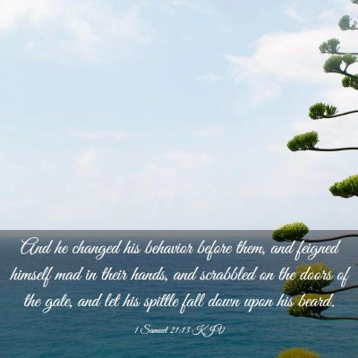 Picture 03 - 1 Samuel 21:13 KJV - And he changed his behavior before them, and - Bible Verse Picture