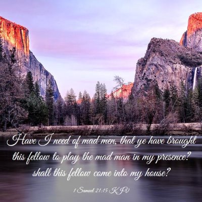 Picture 03 - 1 Samuel 21:15 KJV - Have I need of mad men, that ye have brought this - Bible Verse Picture